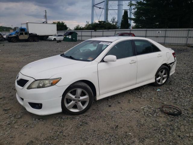 toyota camry base 2010 4t1bf3ek6au507719