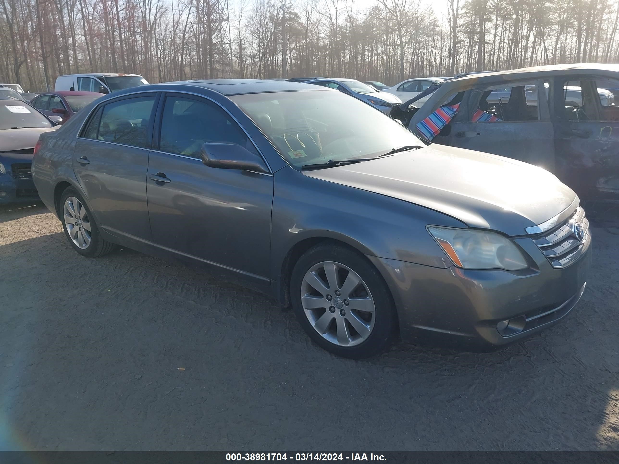 toyota avalon 2005 4t1bk36b75u036924