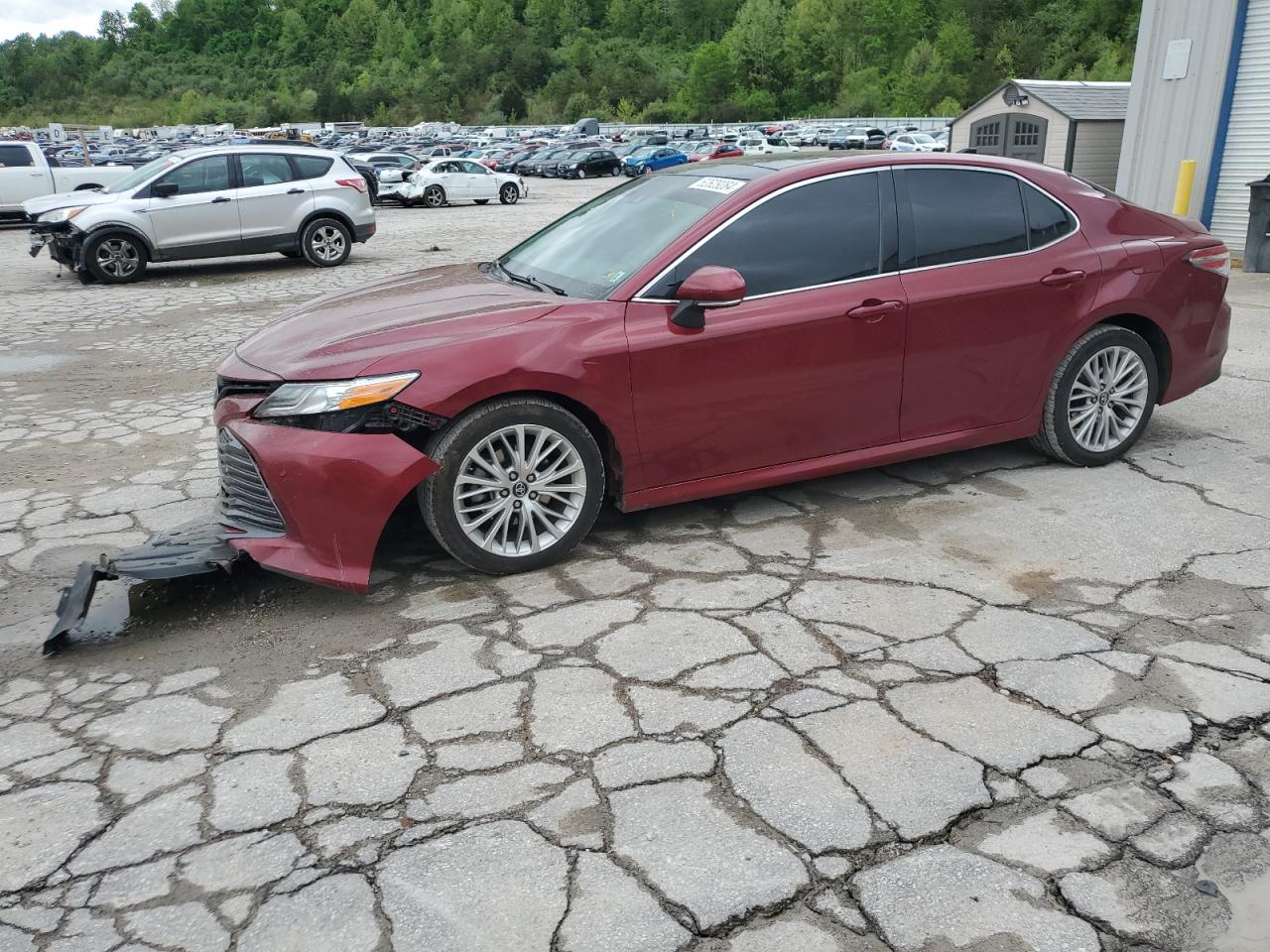 toyota camry 2019 4t1bz1hk8ku507391