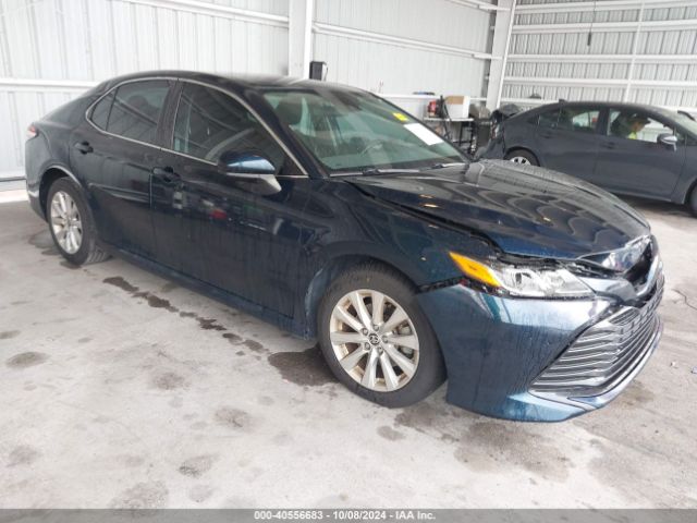 toyota camry 2020 4t1c11ak2lu981442