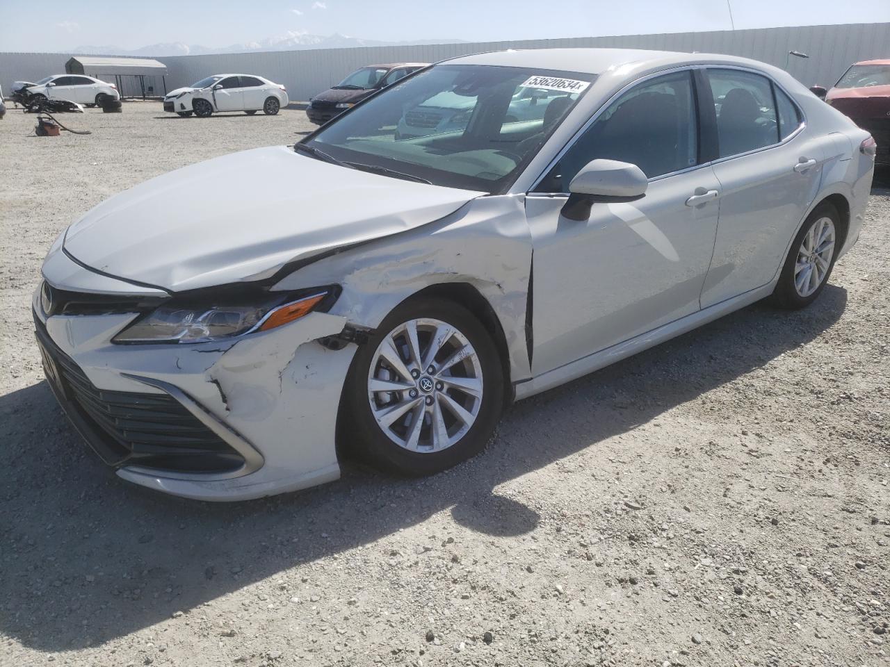 toyota camry 2024 4t1c11ak3ru236367