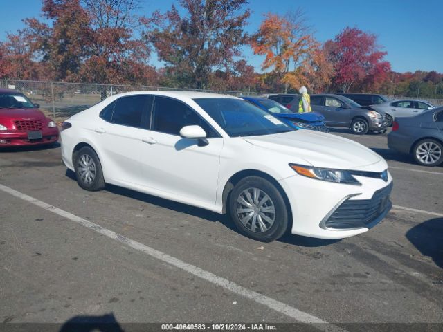 toyota camry 2024 4t1c31ak4ru072220