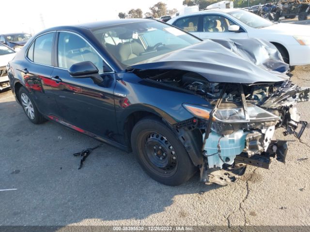 toyota camry 2021 4t1c31ak7mu555600