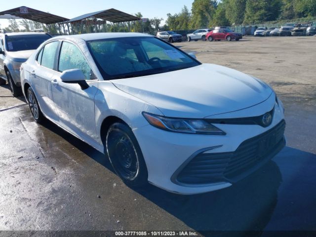 toyota camry 2022 4t1c31ak7nu038511