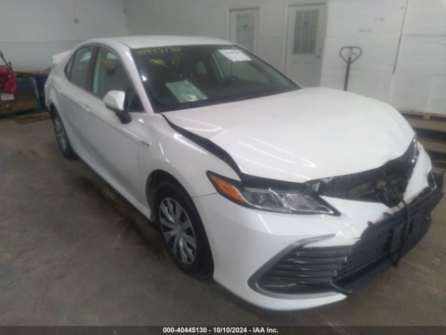 toyota camry 2021 4t1c31ak8mu568176