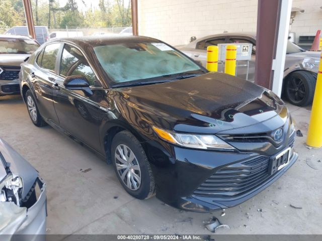 toyota camry 2020 4t1c31akxlu535856