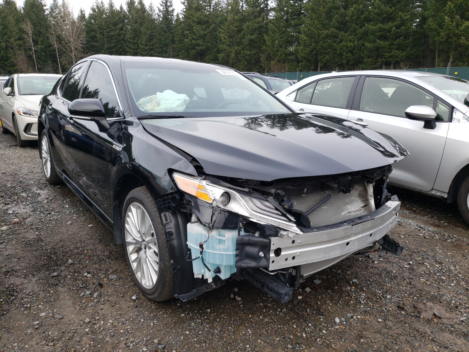 toyota camry 2020 4t1f31ak9lu525557