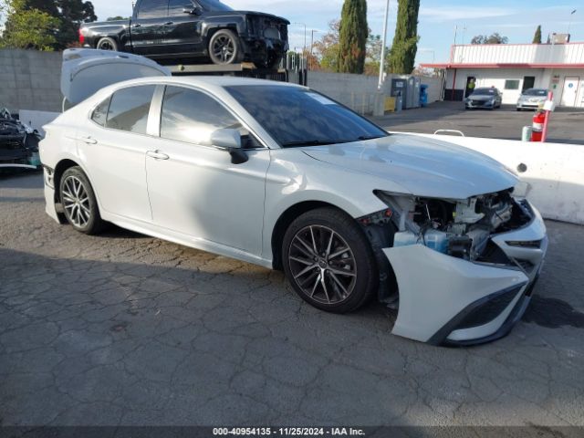 toyota camry 2023 4t1g11ak0pu097619