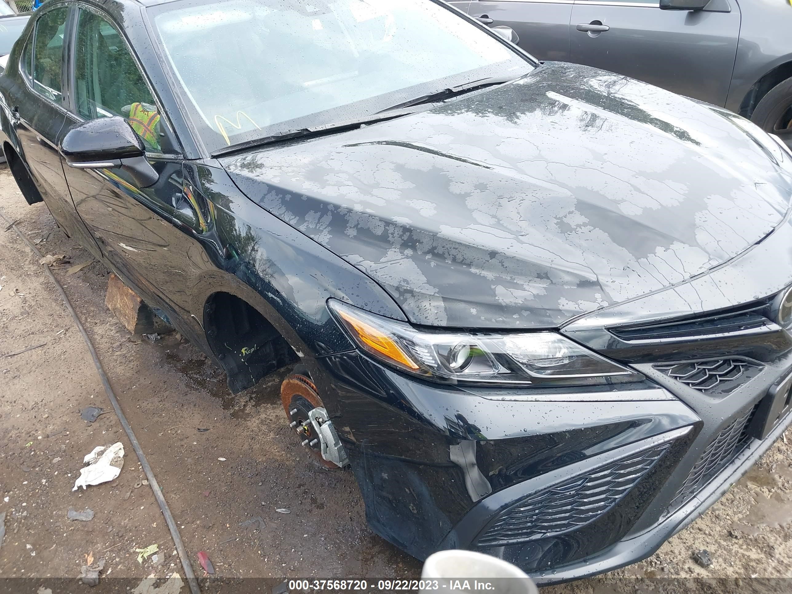 toyota camry 2023 4t1g11ak0pu768481