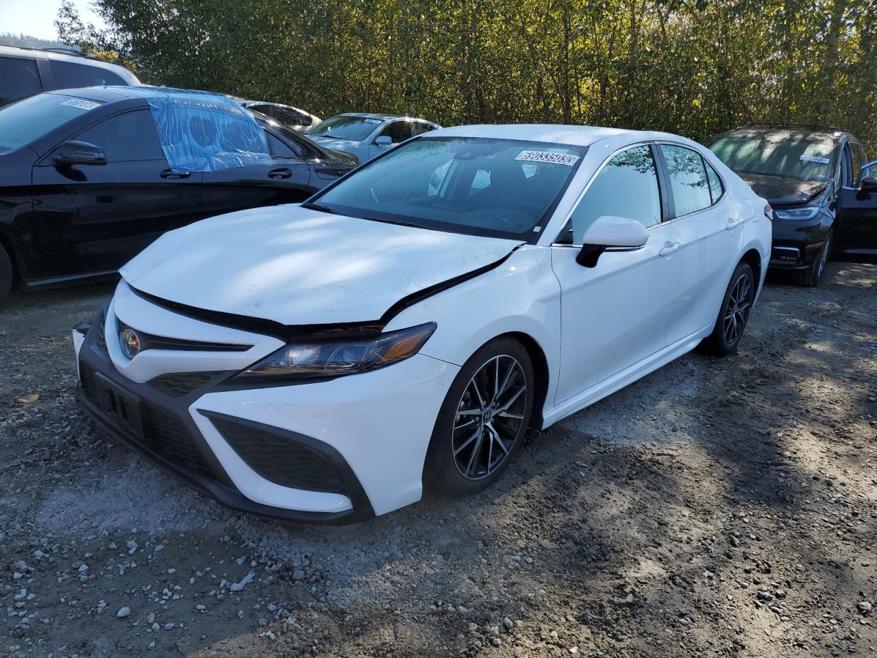 toyota camry 2023 4t1g11ak2pu801285