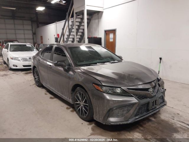 toyota camry 2024 4t1g11ak3ru202088