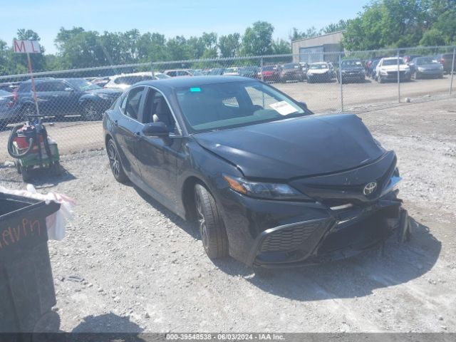 toyota camry 2024 4t1g11bk8ru124325