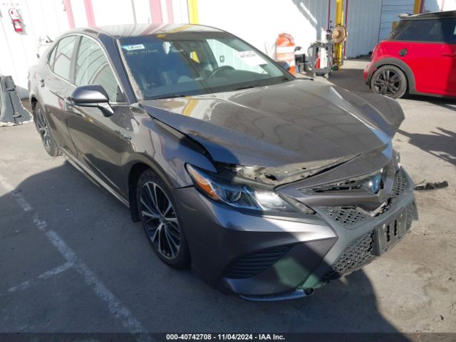 toyota camry 2020 4t1g31ak0lu534698