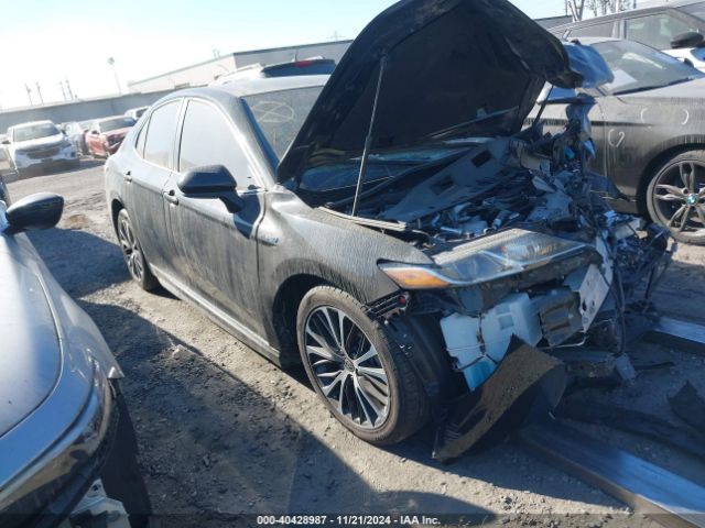 toyota camry 2020 4t1g31ak1lu542387