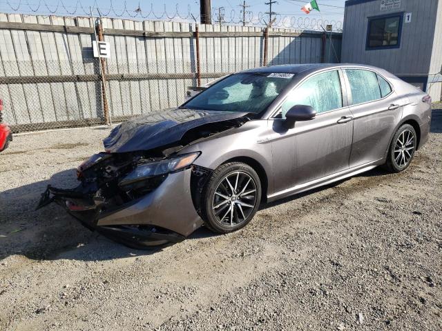 toyota camry 2021 4t1g31ak1mu567162