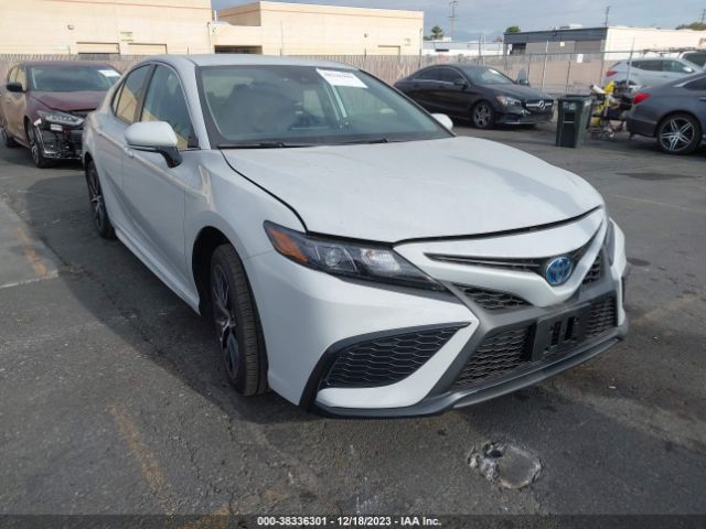 toyota camry 2023 4t1g31ak1pu056555