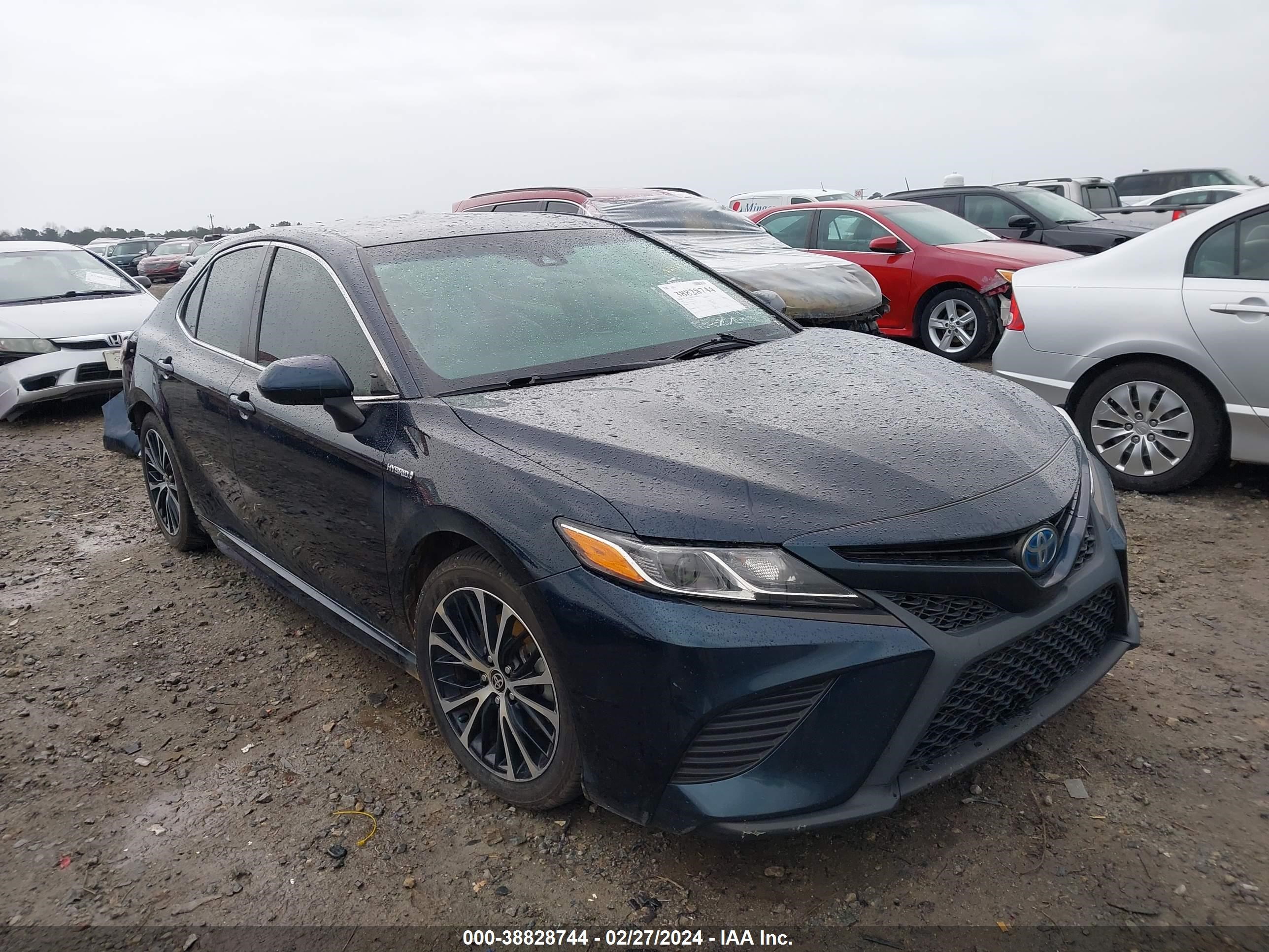 toyota camry 2020 4t1g31ak2lu535013