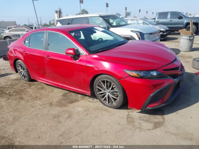 toyota camry 2021 4t1g31ak2mu031322