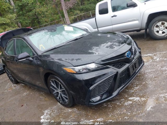 toyota camry 2024 4t1g31ak4ru623523