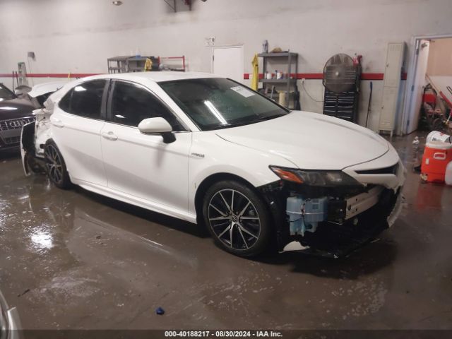 toyota camry 2021 4t1g31ak8mu031731