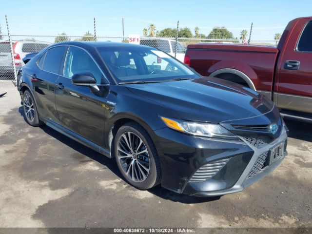 toyota camry 2020 4t1g31ak9lu017240