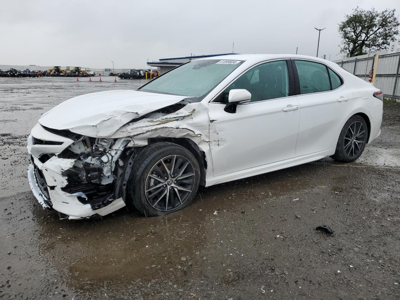 toyota camry 2023 4t1g31ak9pu617701