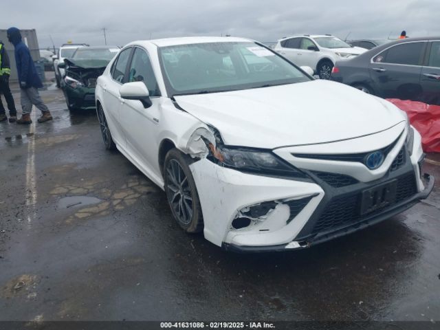 toyota camry 2021 4t1g31akxmu024571