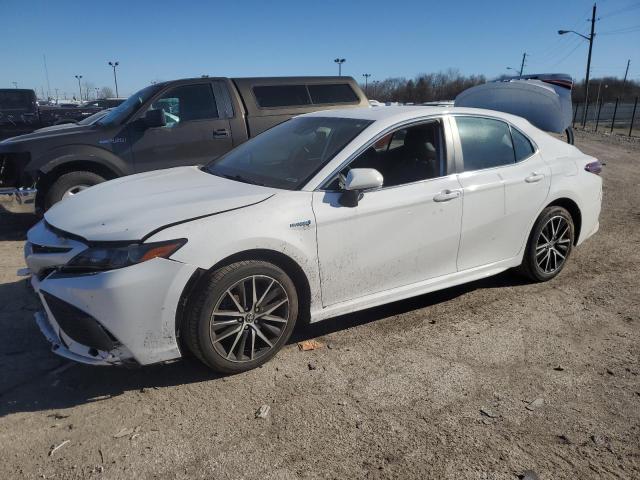 toyota camry 2021 4t1g31akxmu026630