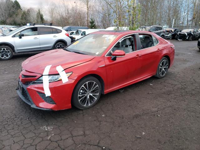 toyota camry 2020 4t1j31ak0lu019531