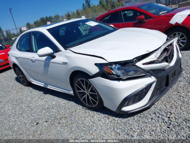 toyota camry 2021 4t1s31ak1mu023710