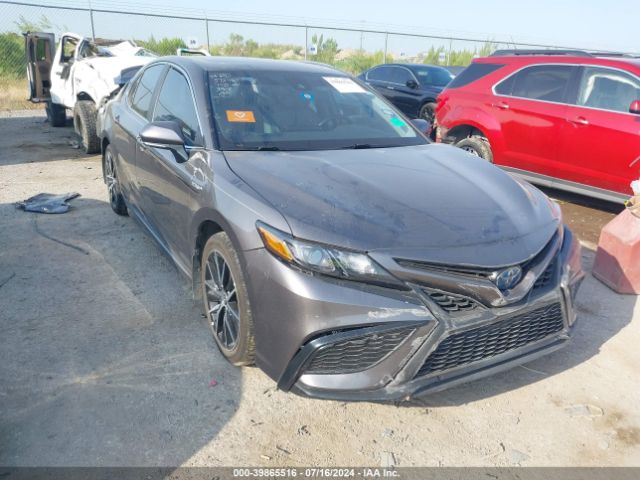 toyota camry 2021 4t1s31ak7mu023775