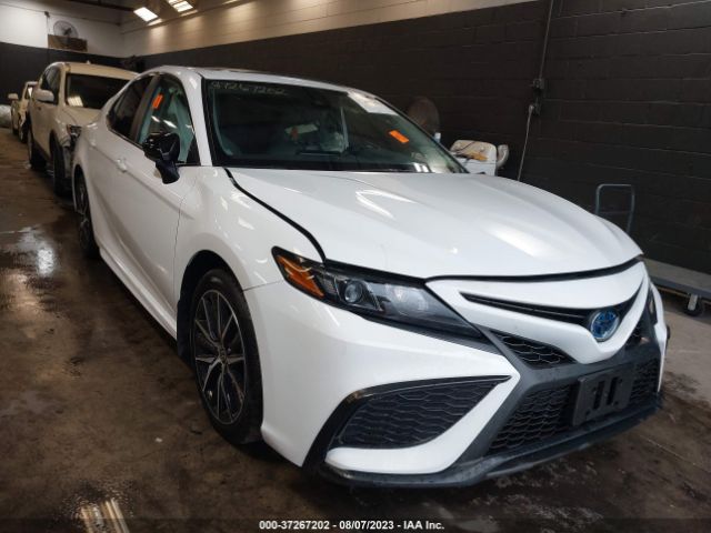 toyota camry 2023 4t1s31ak7pu048437