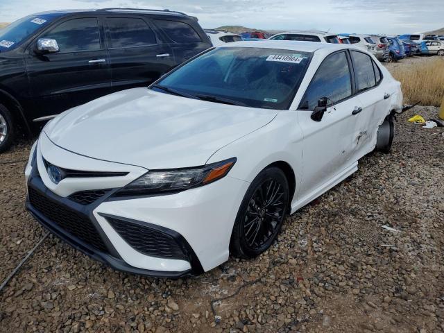 toyota camry 2022 4t1t31ak8nu044737