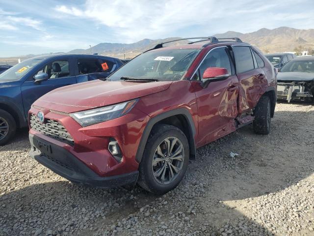 toyota rav4 xle p 2022 4t3b6rfv1nu088185