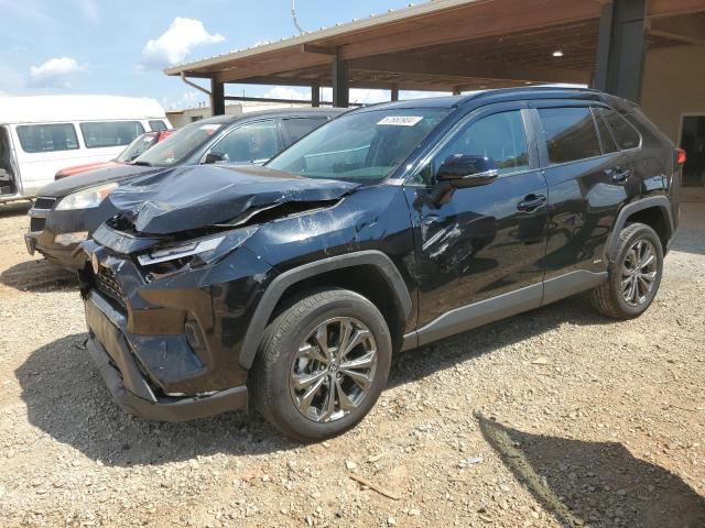 toyota rav4 xle p 2023 4t3b6rfv4pu128004