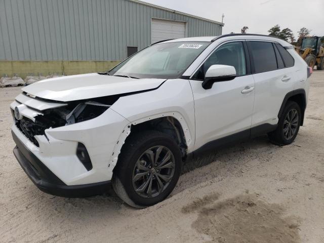 toyota rav4 xle p 2024 4t3b6rfv4ru143590