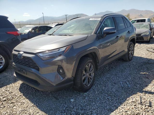 toyota rav4 xle p 2023 4t3b6rfv5pu131252