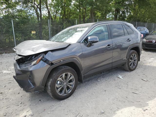 toyota rav4 xle p 2024 4t3b6rfv6ru160682