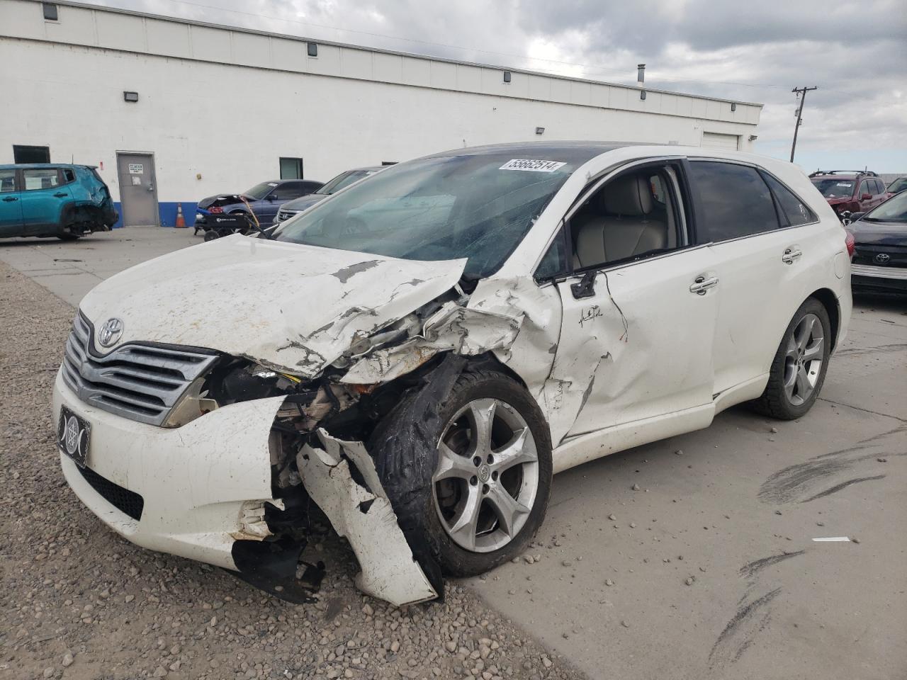 toyota venza 2009 4t3bk11a19u008231