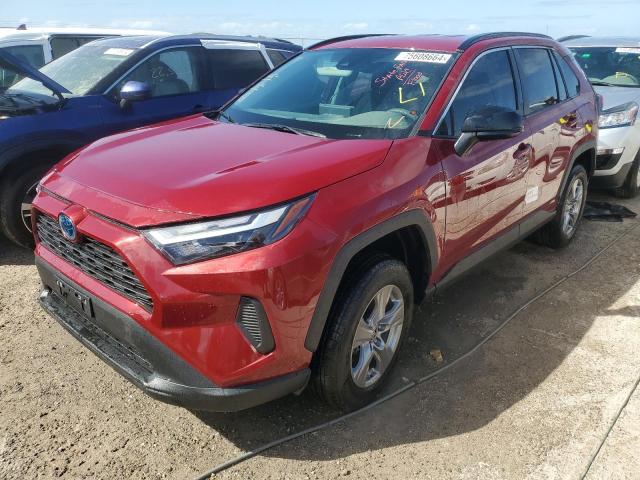 toyota rav4 le 2024 4t3lwrfv5ru154098