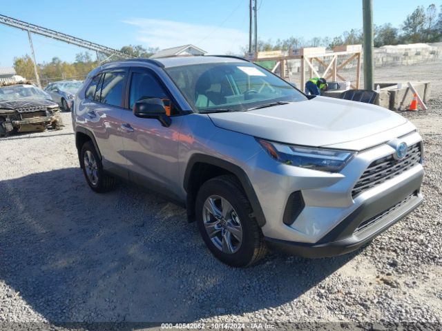 toyota rav4 2024 4t3lwrfv8ru143922