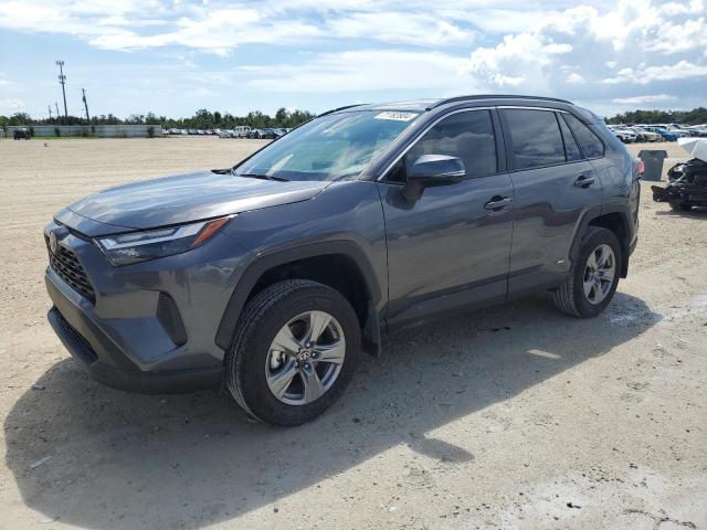 toyota rav4 le 2024 4t3mwrfv3ru145209