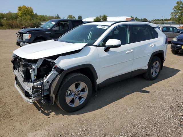 toyota rav4 xle 2024 4t3rwrfv1ru116586