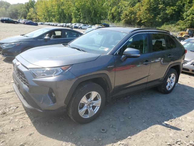 toyota rav4 xle 2021 4t3rwrfv2mu044189