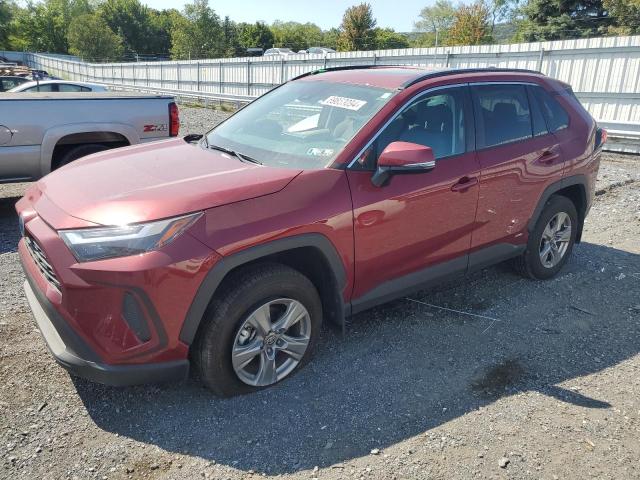 toyota rav4 xle 2024 4t3rwrfv5ru138350