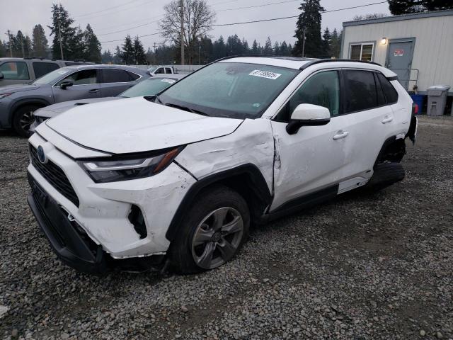 toyota rav4 xle 2023 4t3rwrfv7pu103094