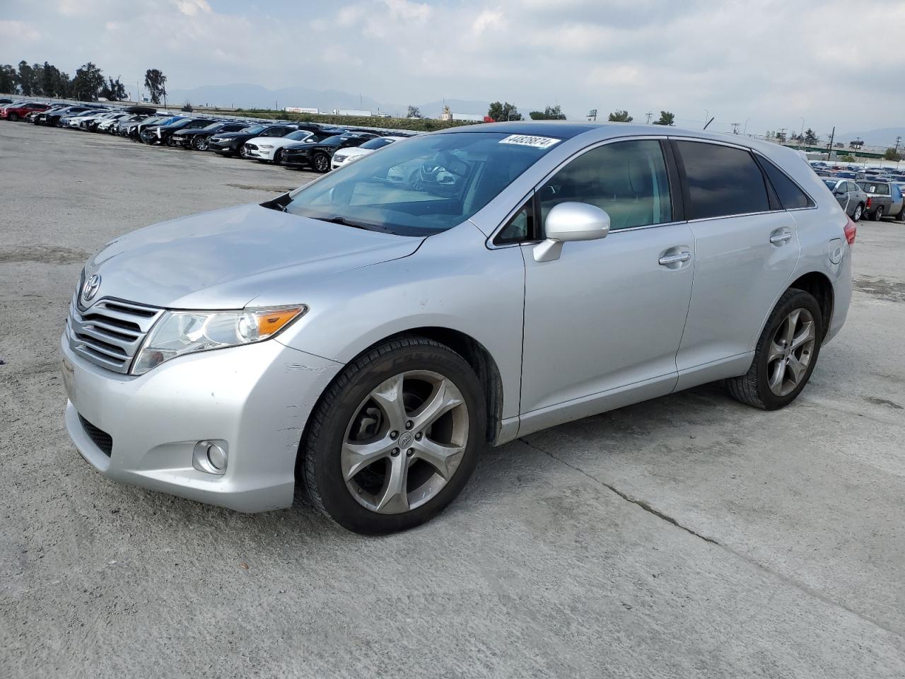 toyota venza 2010 4t3zk3bbxau033084