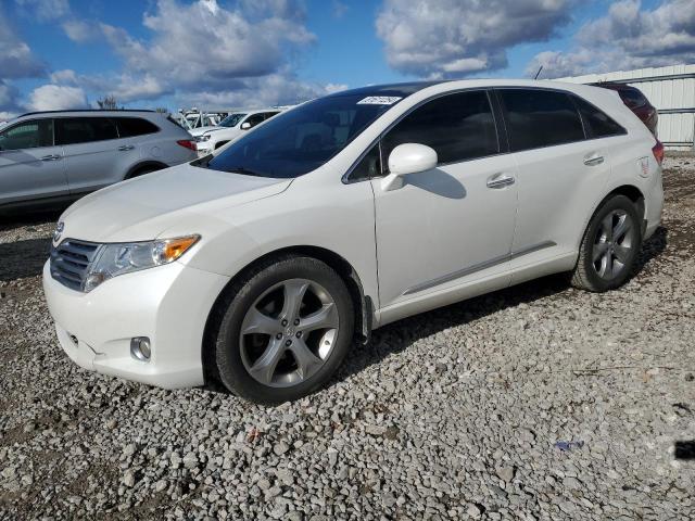 toyota venza 2010 4t3zk3bbxau034557