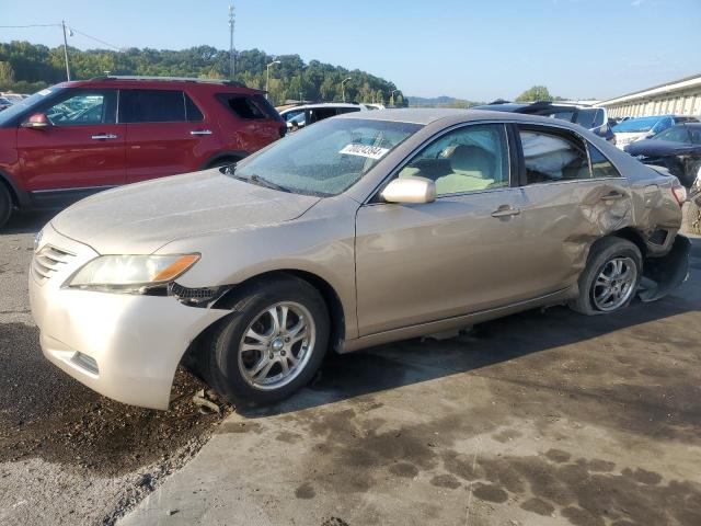 toyota camry base 2009 4t4be46k99r071103