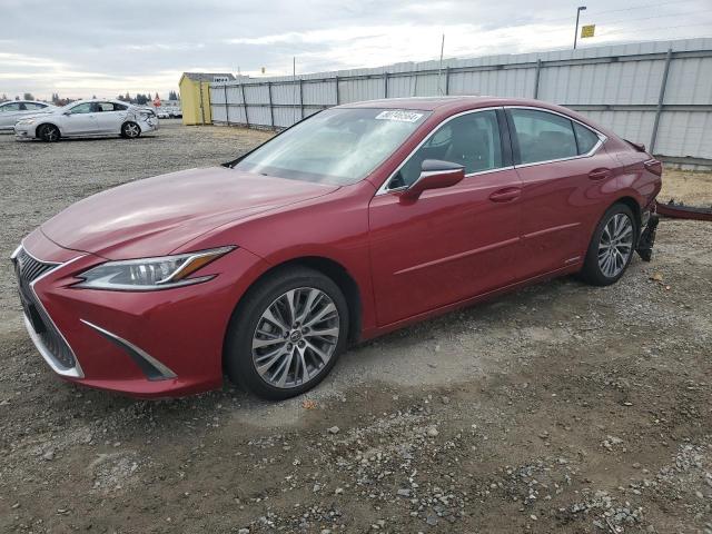 lexus es 300h 2019 58ab21b15ku002020